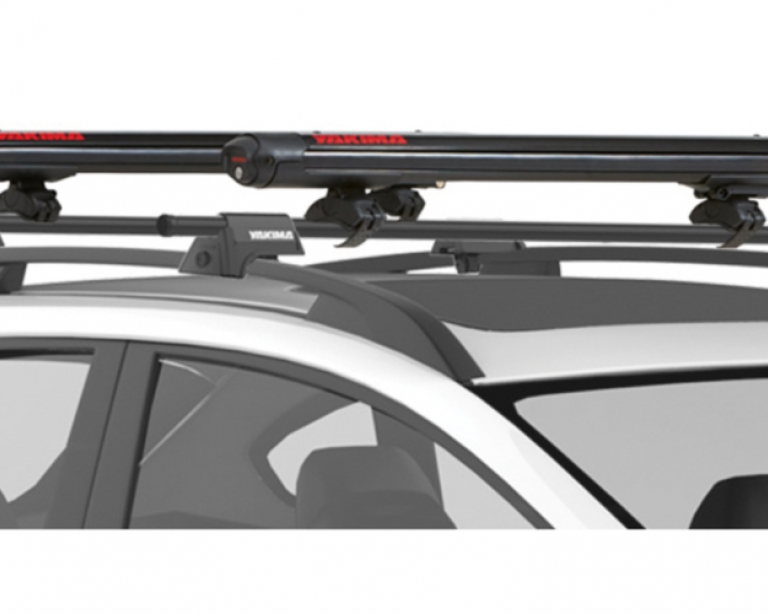 Fatcat 6 sales